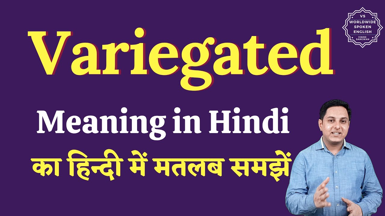 variegated-meaning-in-hindi-variegated-ka-matlab-kya-hota-hai