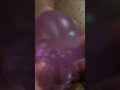 My first vid and needoh
