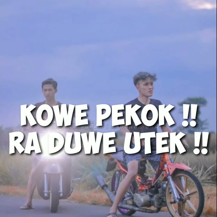 Story WA Kekinian || BAJINGAN,, ASU,, DJANCOK,, PEKOK RA DUWE UTEK
