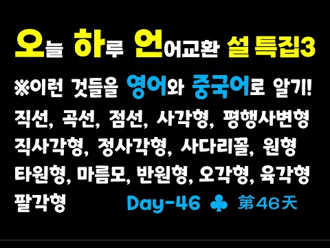 언어교환 46일 설 특집 3탄 직선 곡선 점선 그리고 <strong>각종</strong> 도형 <strong>영어</strong> 중국어로 말하기