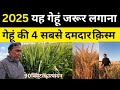 यह ग ह जर र लग न 2025 ग ह क 4 सबस दमद र 2025 क स म यह ग ह जर र लग न 2025 ग ह क 4 सबस दमद र 2025 क स म