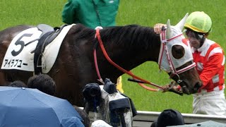 【閲覧注意！】アイラブユー、レース中に故障を発生競走中止…馬を止め脚を見た黛騎手が悲痛の表情でアイラブユーを撫でる