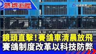 鏡頭直擊！賽鴿車清晨放飛 賽鴿制度改革以科技防弊【熱線追蹤】