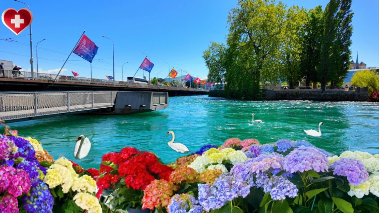 Женева в ветреный весенний день | Настоящая городская жизнь и красота на берегу озера [4K]