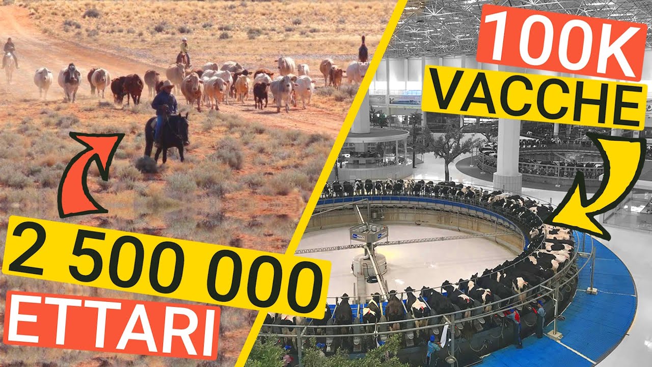 Le AZIENDE AGRICOLE più GRANDI del Mondo