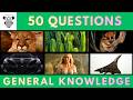 General Knowledge Quiz Trivia #252 | Mountain Lion, Cacti, Mouse Lemur, Bugatti, Khaleesi, Concorde