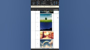 【Excel便利技‼️】セル内に画像を埋め込む方法 #エクセル #Excel #パソコン #パソコンスキル #スプレッドシート #エンジニア #engineer