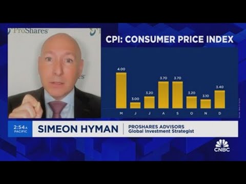 Dont get too worked up about how CPI impacts the Fed, says Simeon Hyman