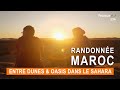 Sahara marocain : Randonnée entre dunes et oasis 🌵