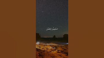 يَا أَيُّهَا الَّذِينَ آمَنُوا اسْتَعِينُوا بِالصَّبْرِ وَالصَّلَاةِ || سورة البقرة || علي جابر