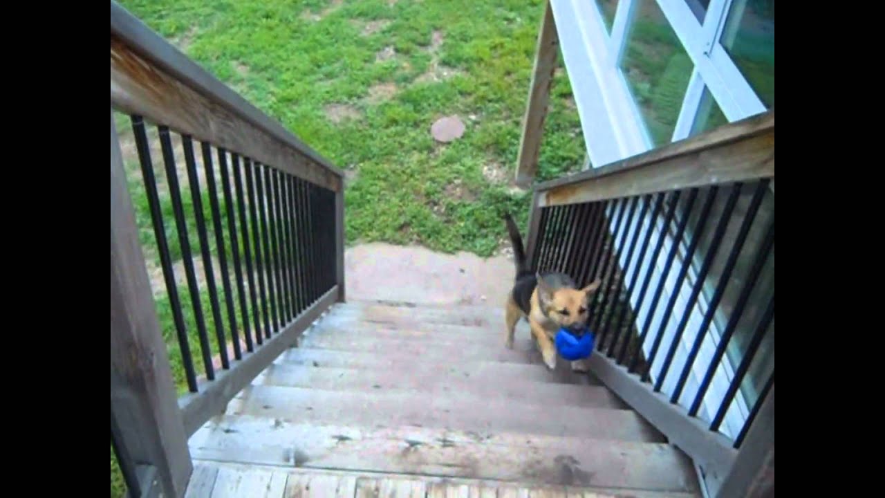 Test of Nikon Coolpix L22 - pictures and video (including zoom)