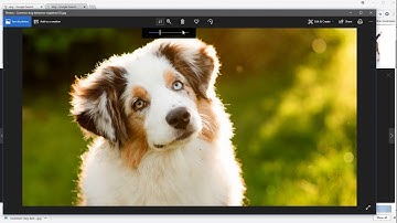 How to search a high res image on google