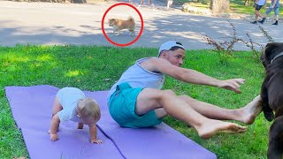 Epic Fail: Baby, Daddy, and Retriever Yoga in Public!