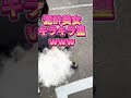 【緊急】泥酔美女#キラキラ#韓国編#酔っぱらい#お笑い#viral#funnyfails#tiktok #tiktokvideo #youtube#shorts#おすすめ#Twitter#爆笑#海外