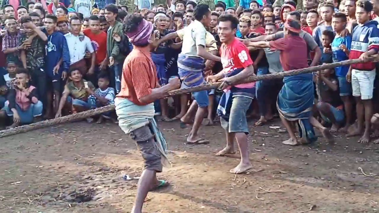 Tradisi Sumba barat daya sebelom melaksanakan pesta wolek