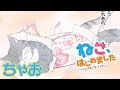 【ボイスコミック】『ねこ、はじめました』 第4話 俺がオマエでオマエが俺で!? ★ちゃおの人気まんがを動画で!★【まんが動画】
