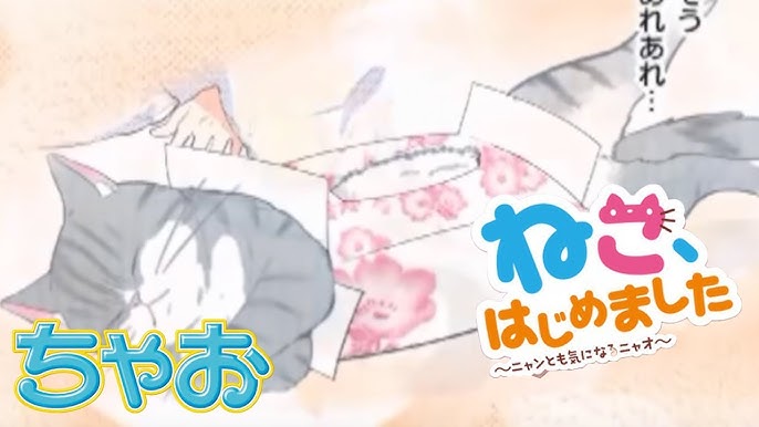 ボイスコミック ねこ はじめました 第6話 はじめてのパトロール ちゃおの人気まんがを動画で まんが動画 Youtube ボイスコミック ねこ はじめました 第6話 はじめてのパトロール ちゃおの人気まんがを動画で まんが動画 Youtube