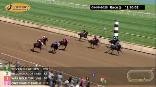 RACE 5 PROGRAM 08 09 2025