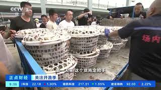 [正点财经]关注开渔季 浙江舟山：第一网梭子蟹上岸 渔获被抢购一空|CCTV财经