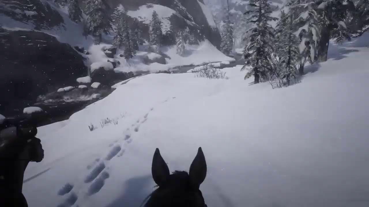 RDR2 as close to real as i can get