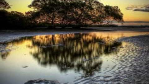 Theo Simms - Vibrational Beings (Ambient Alignment Mix)