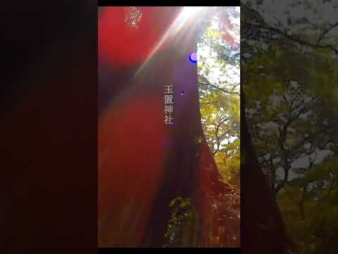 【玉置神社】#shorts   #癒し #パワースポット：奈良