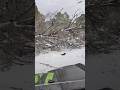 Downed Tree Ended Our UTV Camping Trip😳 Or Did It? #utv #camping #adventure