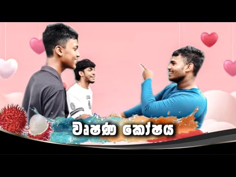වෘෂණ කෝෂය (Dodu Production)