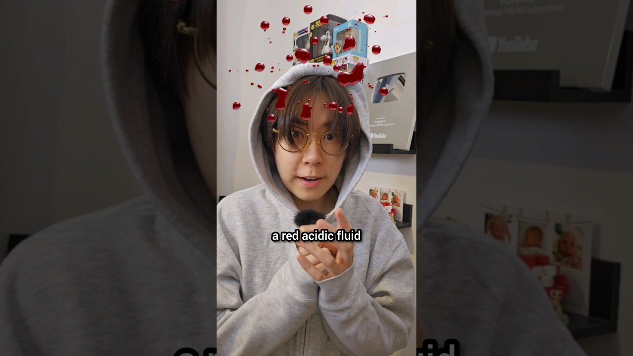 Hippopotamus' blood sweat is neither blood nor sweat #science