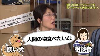 光浦靖子のマッタン相談所