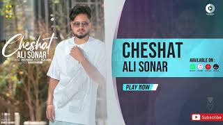 Ali Sonar - Cheshat Official Audio Track علی سونار - چشات