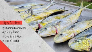 4 Steps to catching Dollies at the FADS (Full Video) screenshot 4