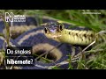 Winter Survival Strategies Quiz
