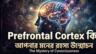 Prefrontal Cortex: The Brain's Control Center | প্রিফ্রন্টাল কর্টেক্স ও মানুষের সিদ্ধান্ত গ্রহণ