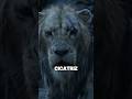SEGREDOS FILMES-CICATRIZ SCAR? #disney#curiosidades#cinema#mufasa#thelionking#movie#princesas#viagem