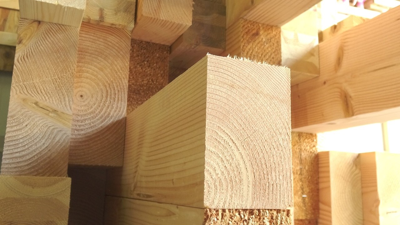 Acquiring 3 tons of lumber at a bargain price for the ultimate DIY