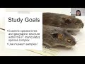 The power of archived samples in conservation with Dr. Natalie Hamilton