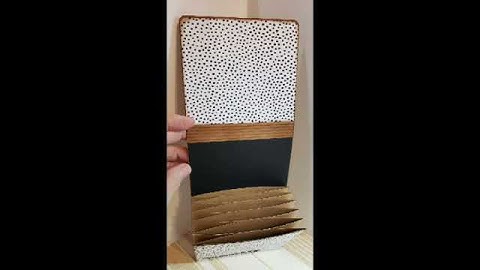 Accordion Pocket Folder for 4x6 photos