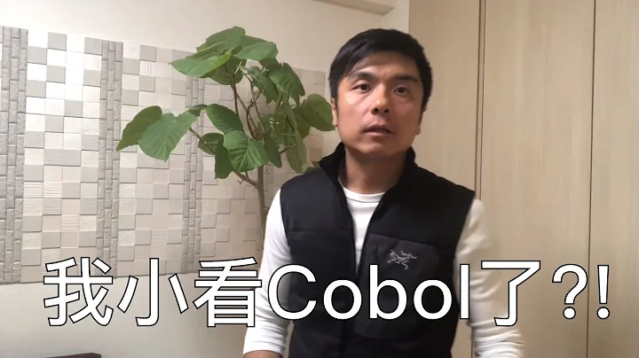 我太小看上古开发语言cobol，只有这门语言可能让你一直工作到80岁，成为开发界的常青树。 - DayDayNews