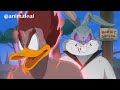 Pato donald vs pernalonga animao de naruto  looney tunes