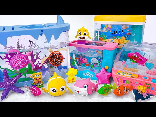 [toy asmr] Catching Huge Sea Animals: Colorful Fish Tank Collection | Review Toys ASMR