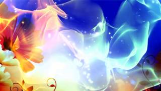Flowers and Vectors loop Animation Background Video