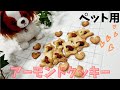 【犬おやつ】アーモンドクッキー作りながら手作り食のお話【元動物看護士】