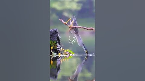 لاتهرب من القرآن الكريم فقط 30 ثانية أجر لي ولك 🕋