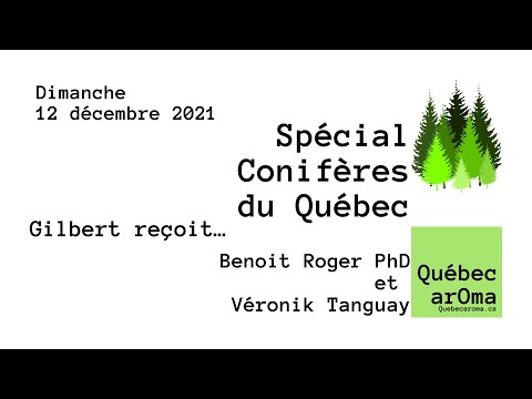 Vidéo: Genévriers populaires de la zone 9 : Sélection de plantes de genévrier pour les paysages de la zone 9