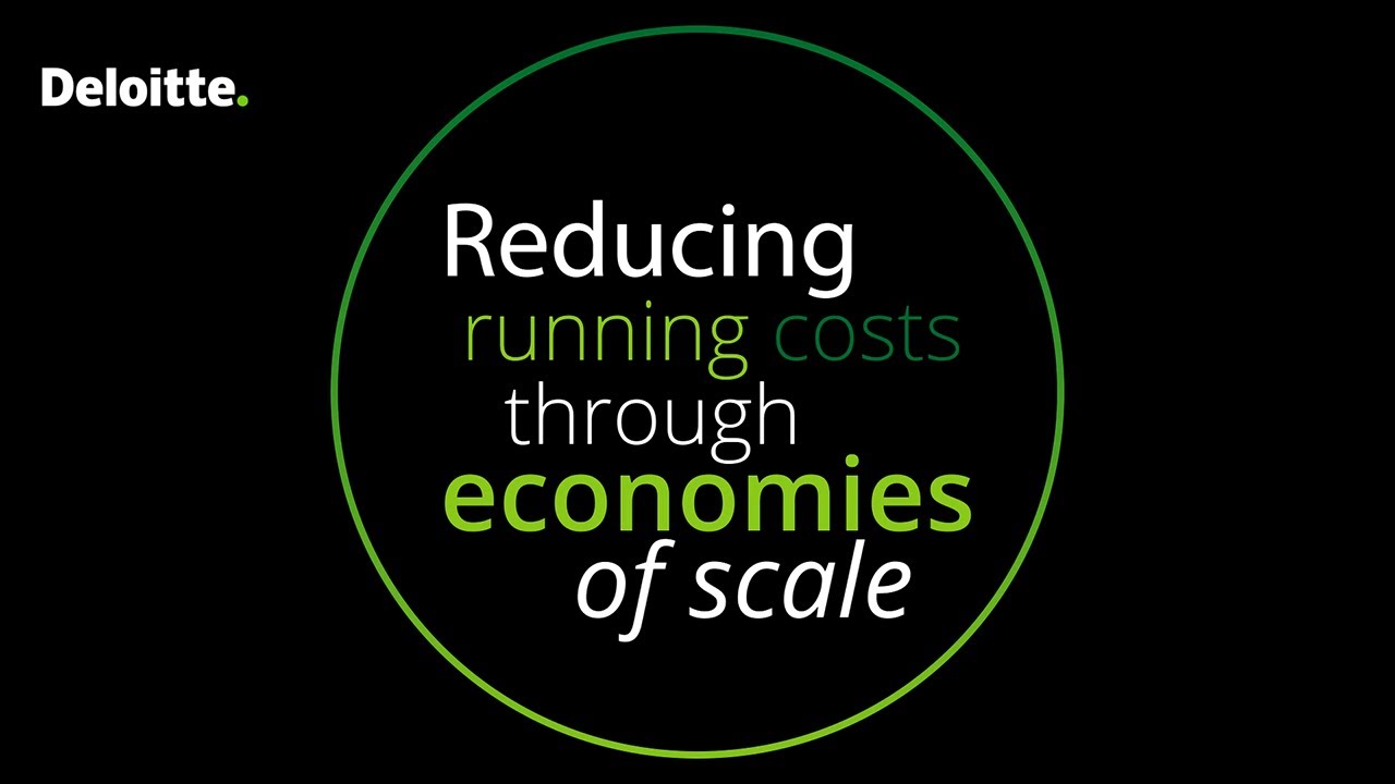 Deloitte Pensions Master Plan 2 – Reducing Running Costs Through Economies of Scale