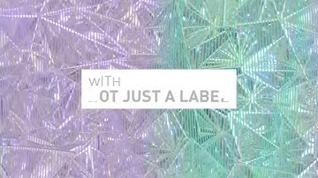 d3 Not Just A Label Pavillion at Meet d3 2015