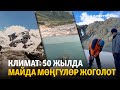 Табият коңгуроосу: 50 жылда майда мөңгүлөр жоголот