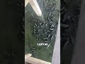 #trends