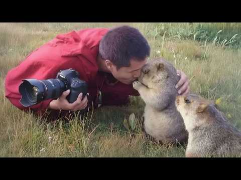 When Animals Decided to Be Cuter Than Humans!